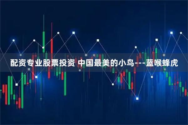 配资专业股票投资 中国最美的小鸟---蓝喉蜂虎