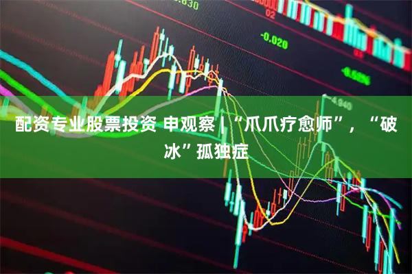 配资专业股票投资 申观察 | “爪爪疗愈师”，“破冰”孤独症